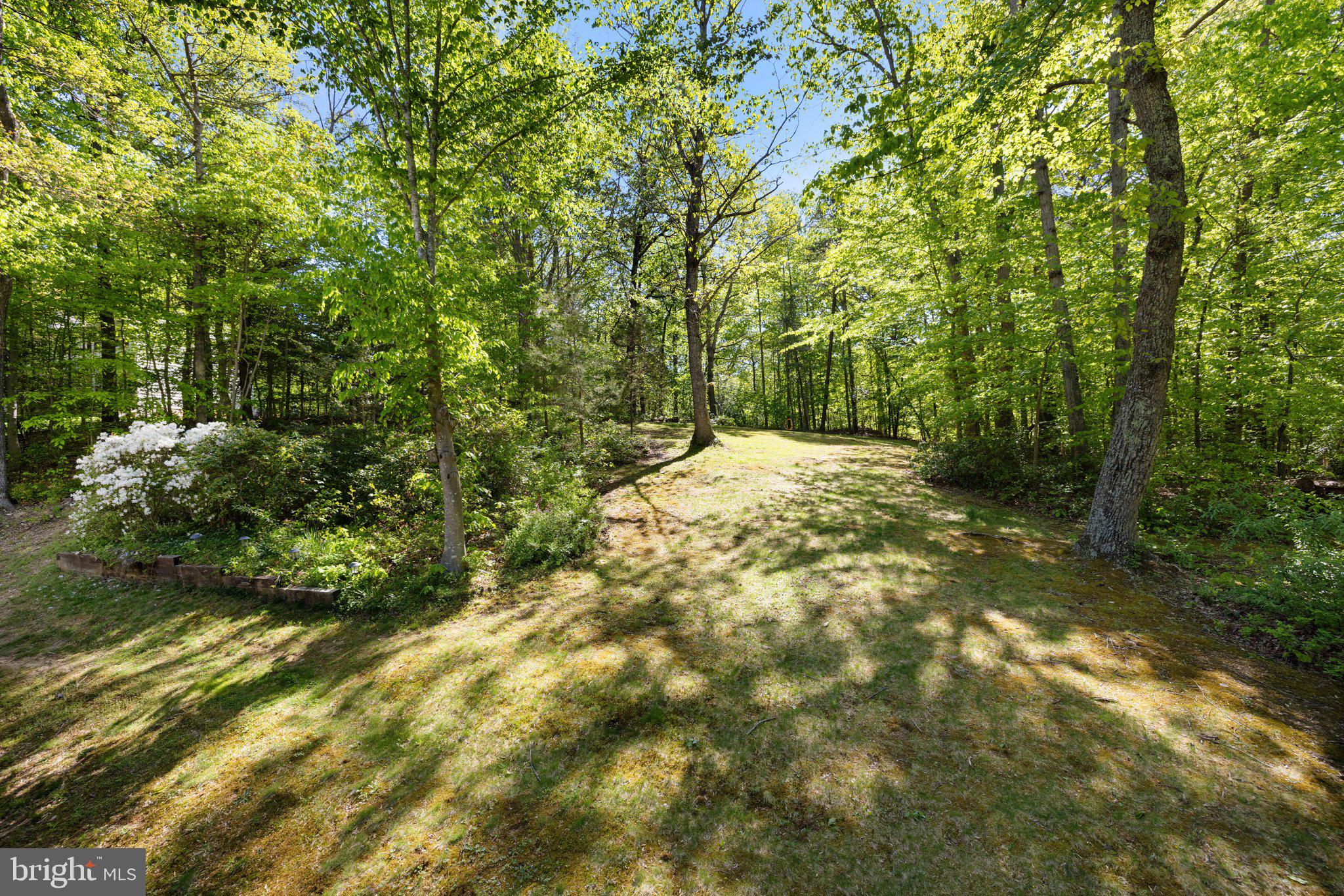 TERRAPIN FOREST - Residential