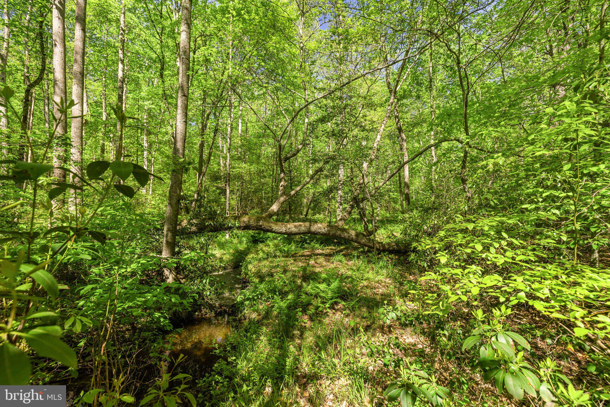 TERRAPIN FOREST - Residential