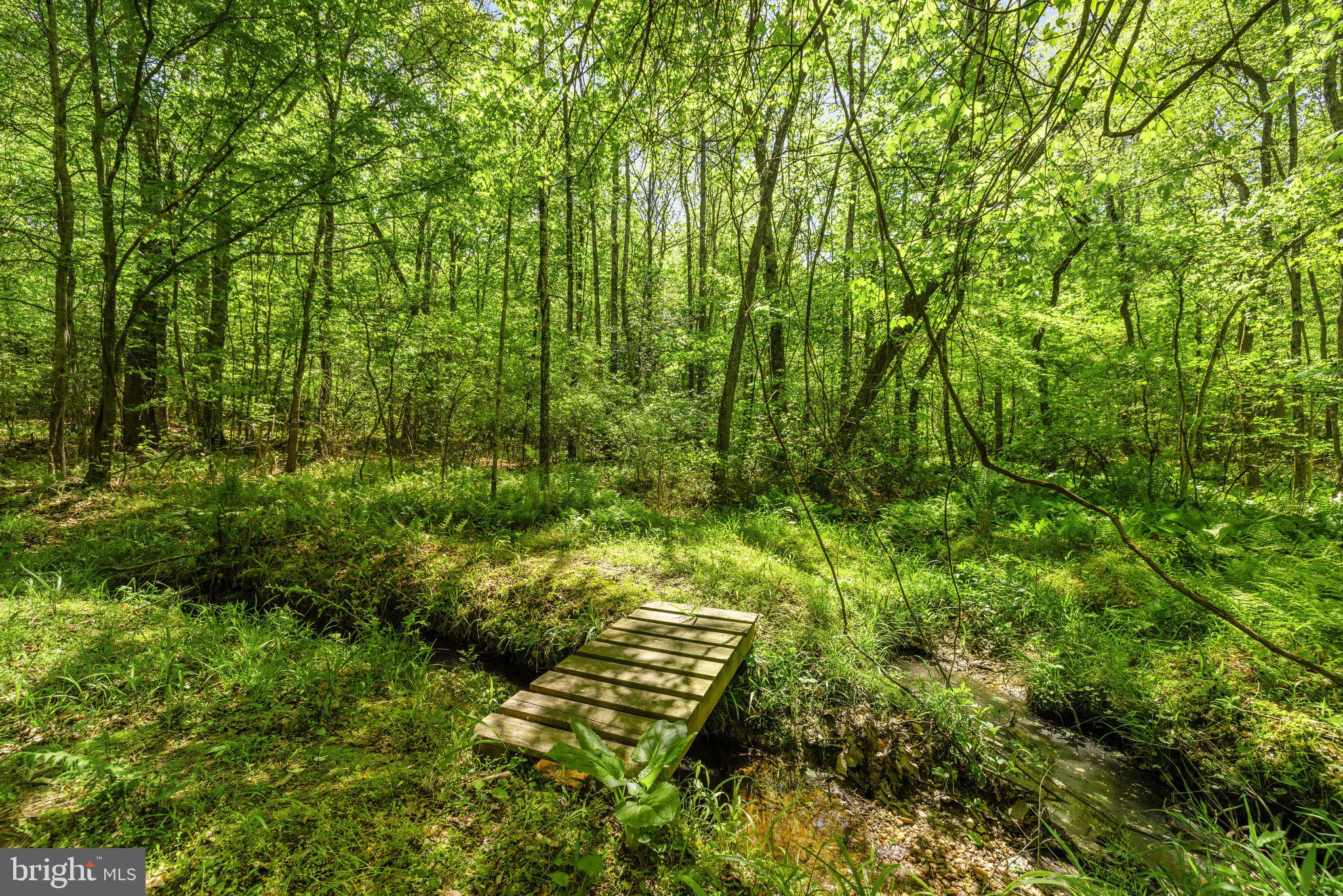 TERRAPIN FOREST - Residential