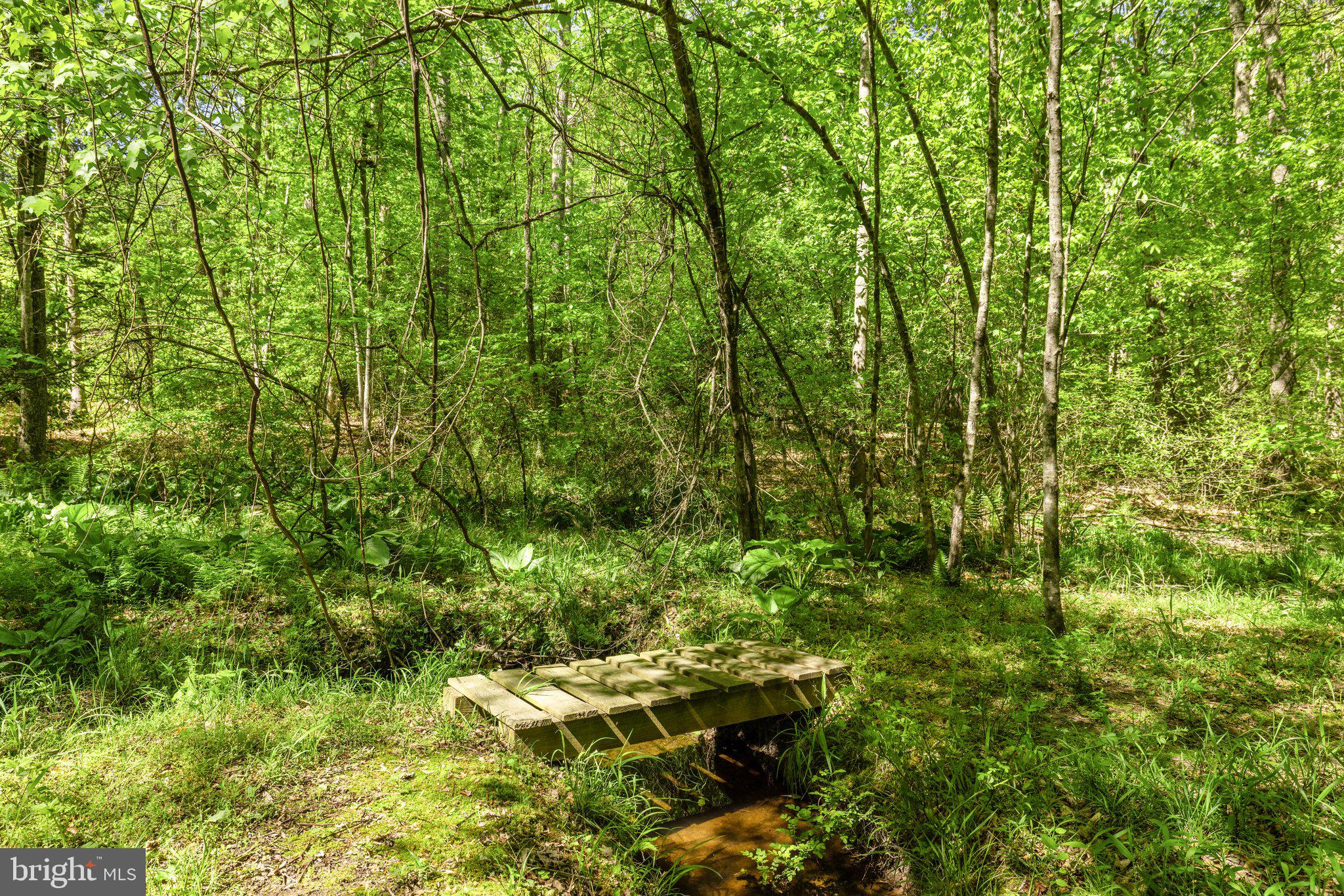 TERRAPIN FOREST - Residential