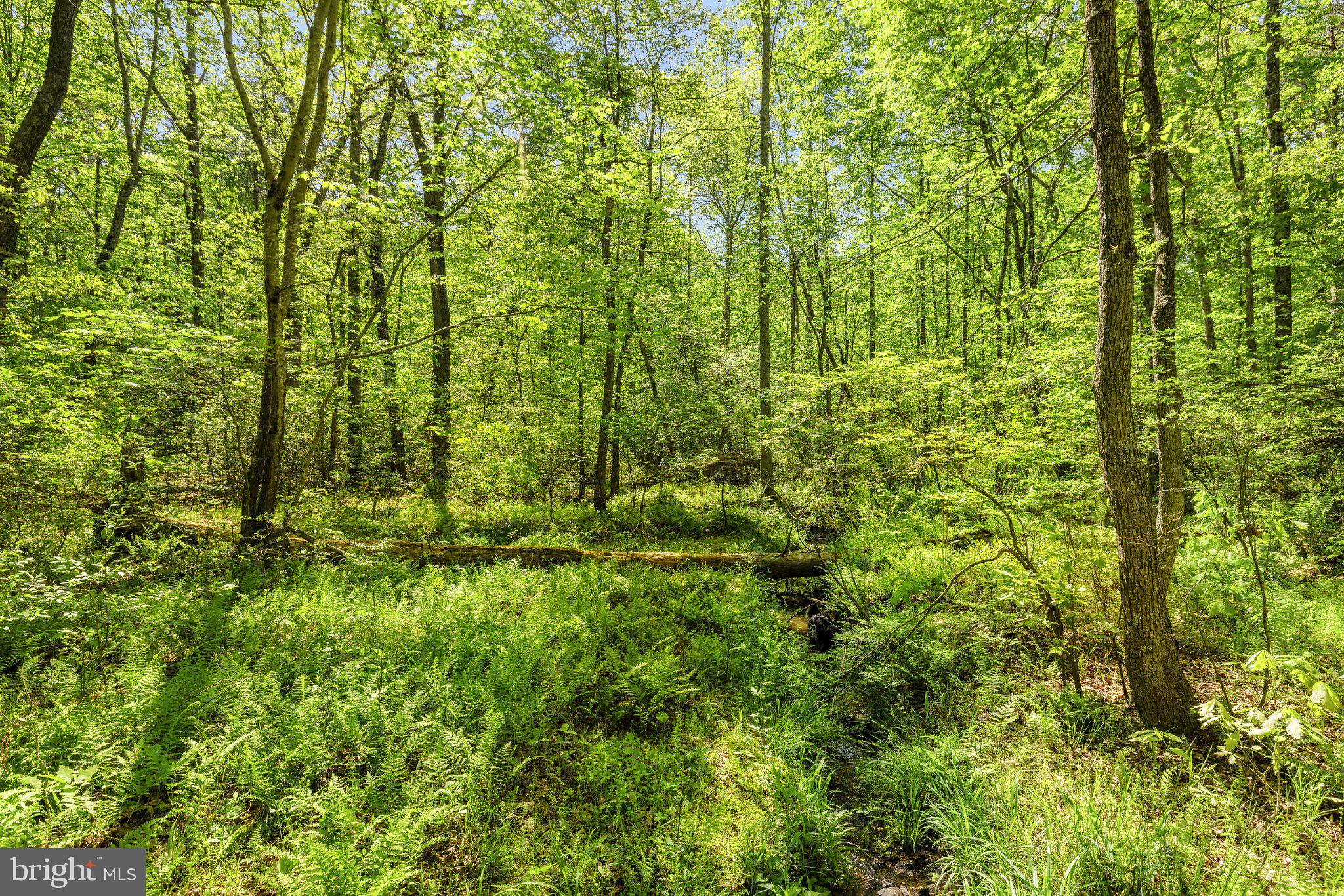 TERRAPIN FOREST - Residential