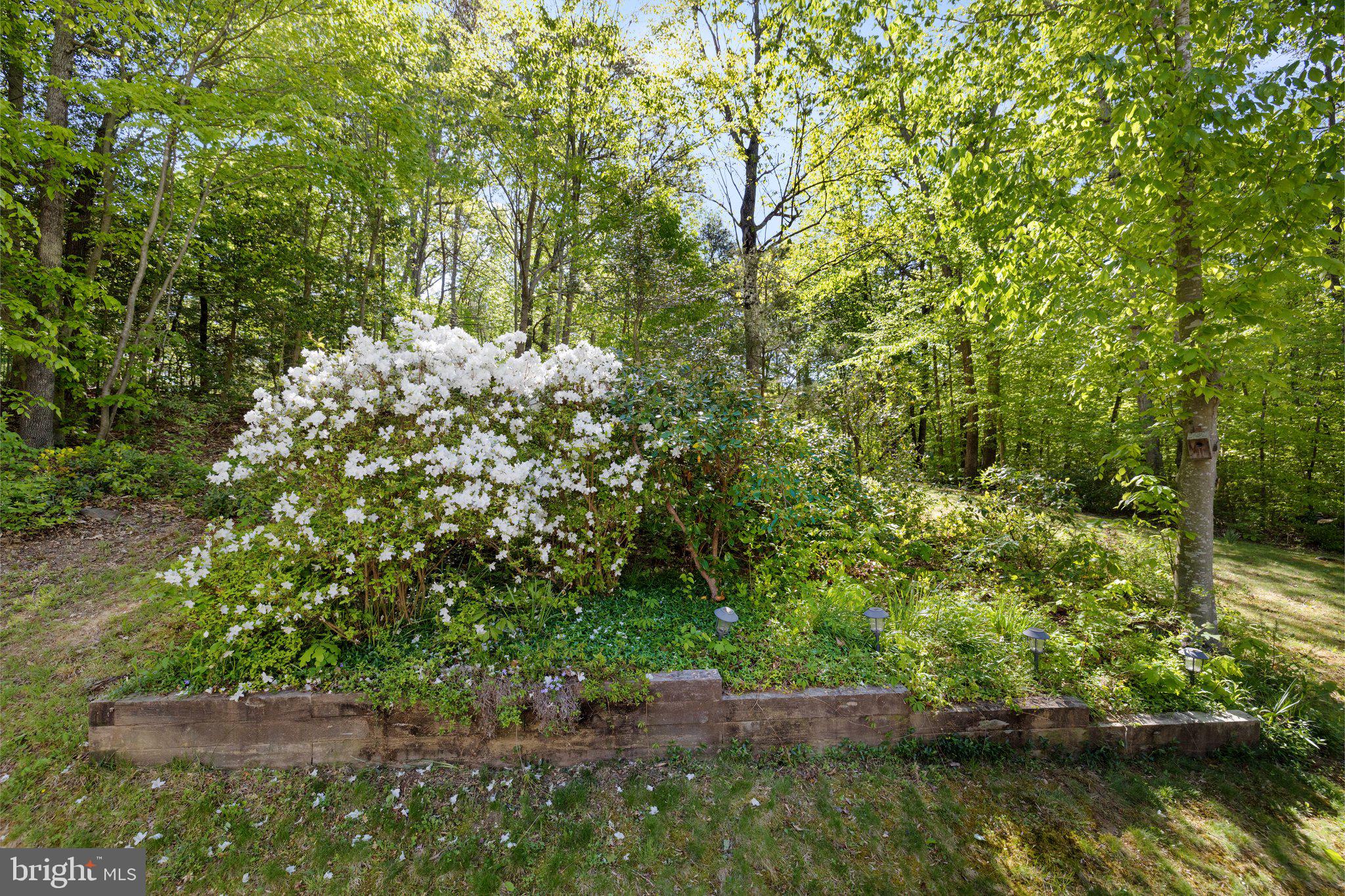 TERRAPIN FOREST - Residential