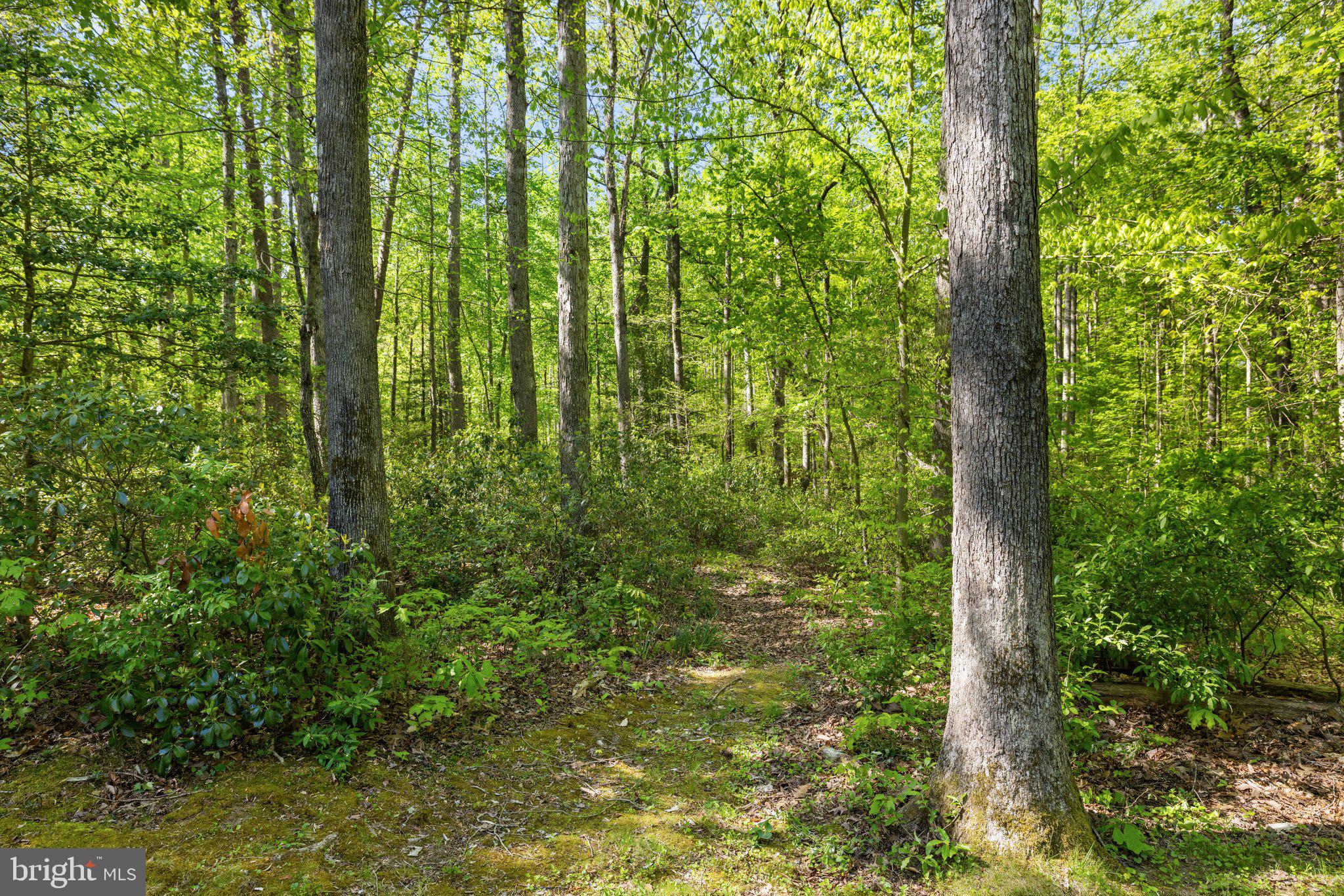 TERRAPIN FOREST - Residential