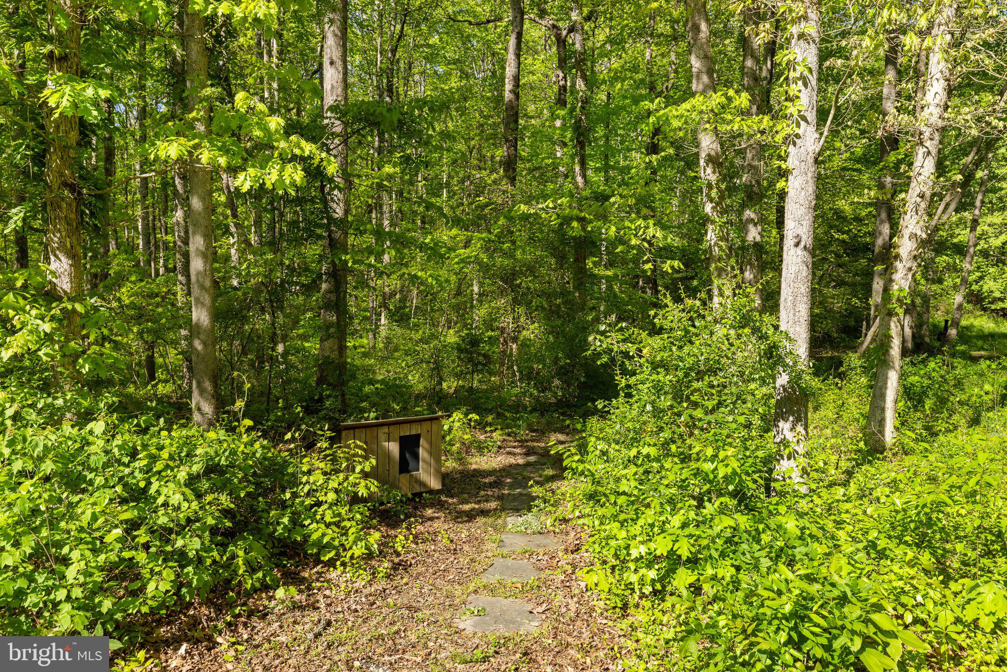 TERRAPIN FOREST - Residential