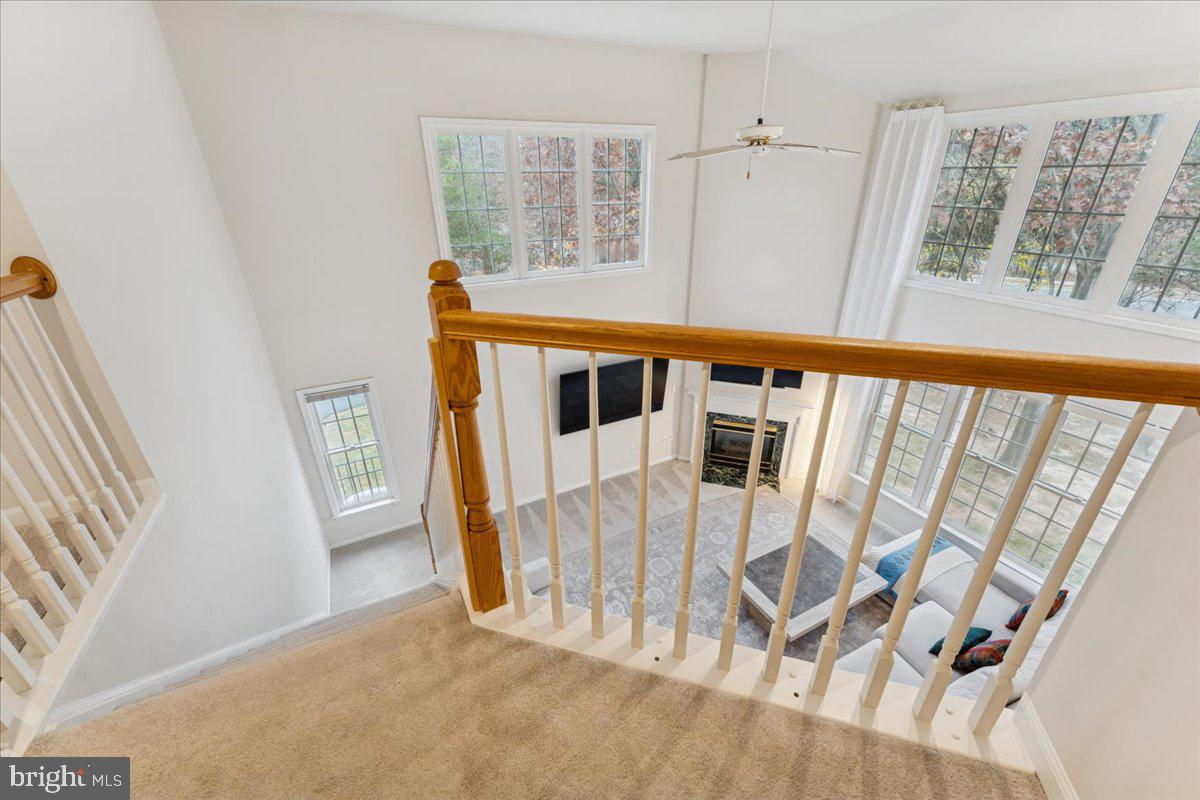 RUNNYMEDE MANOR - Residential