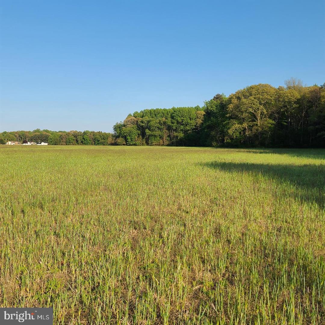 Anderson Residual Lot ANDERSON RD