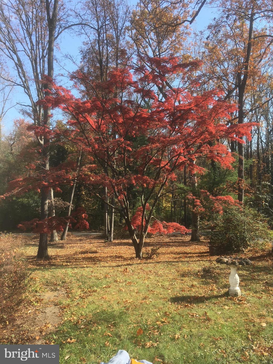 BRADLEY HILLS GROVE - Residential