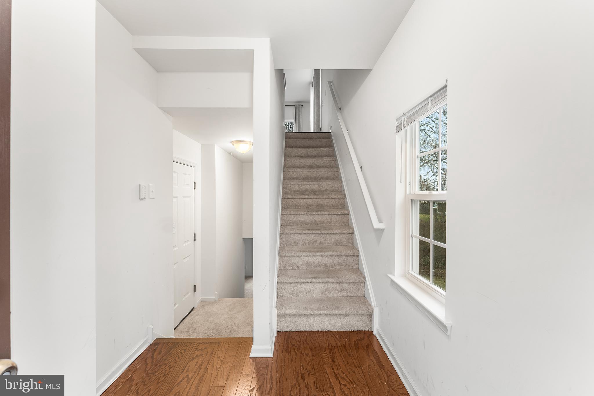 133 BUDDY POWELL LANE