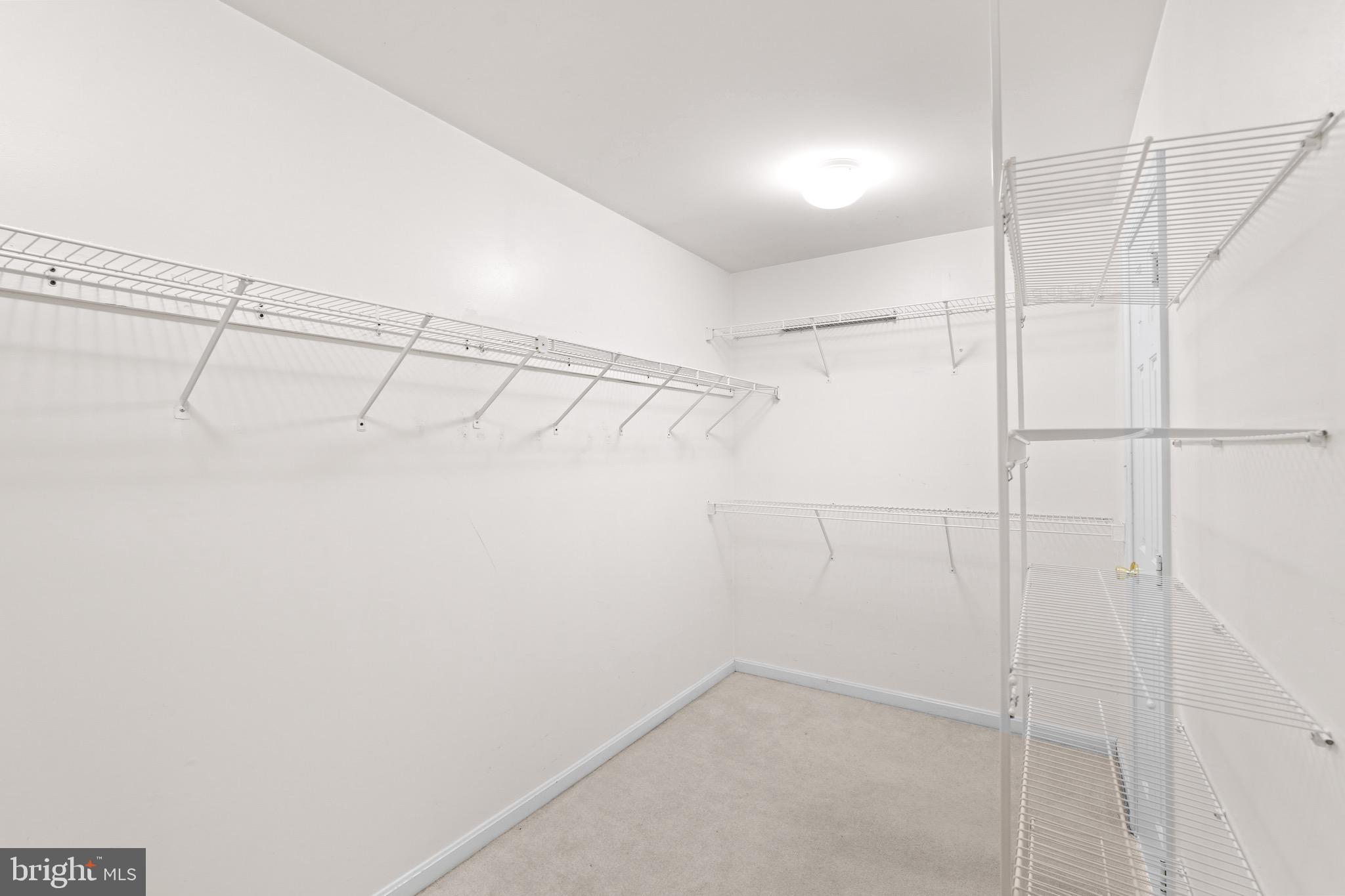 OAK TREE - Residential