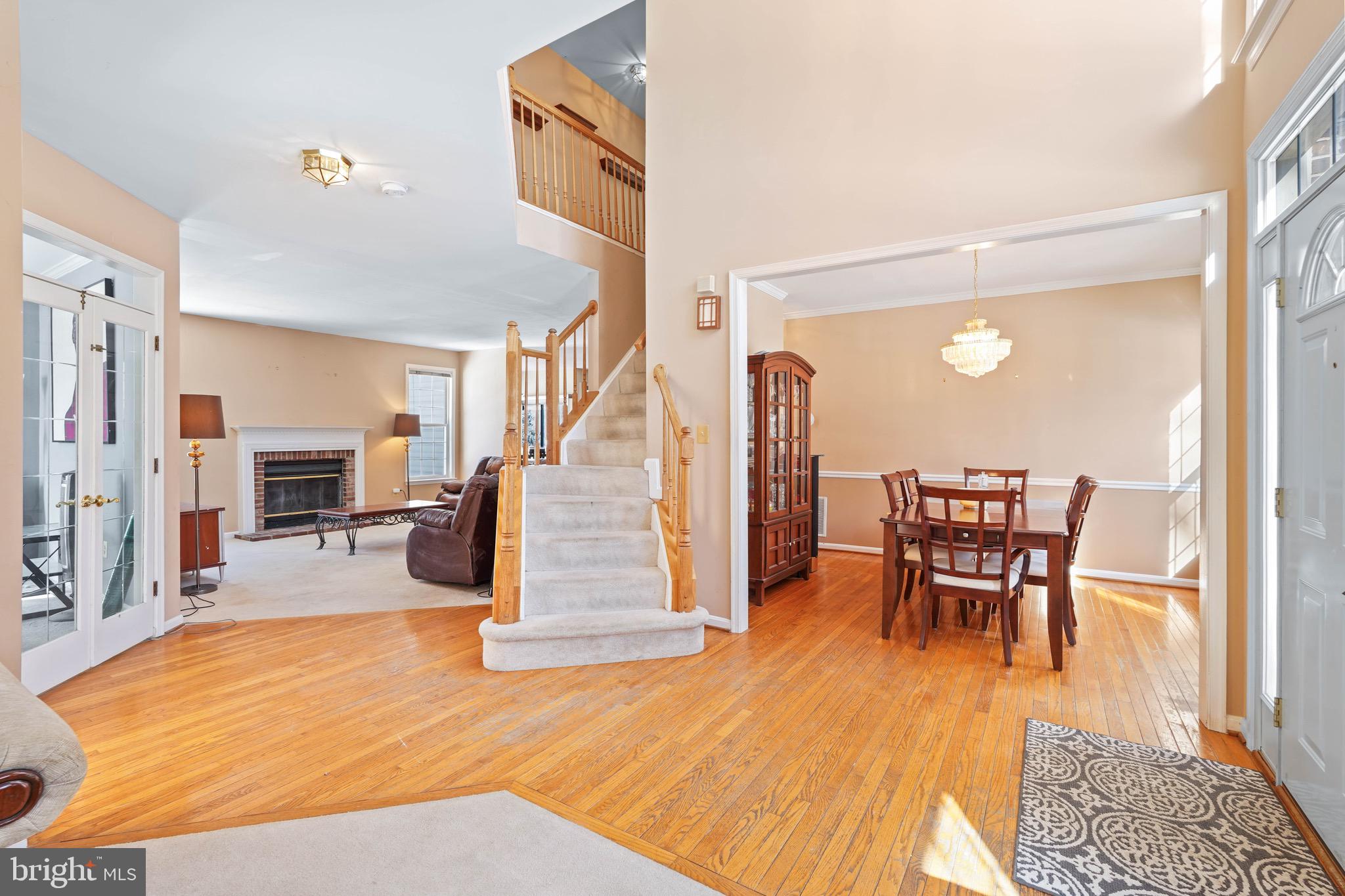 OAK TREE - Residential