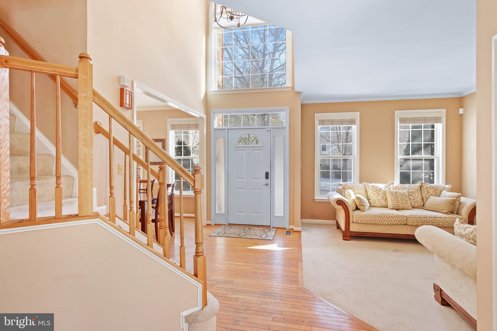 OAK TREE - Residential