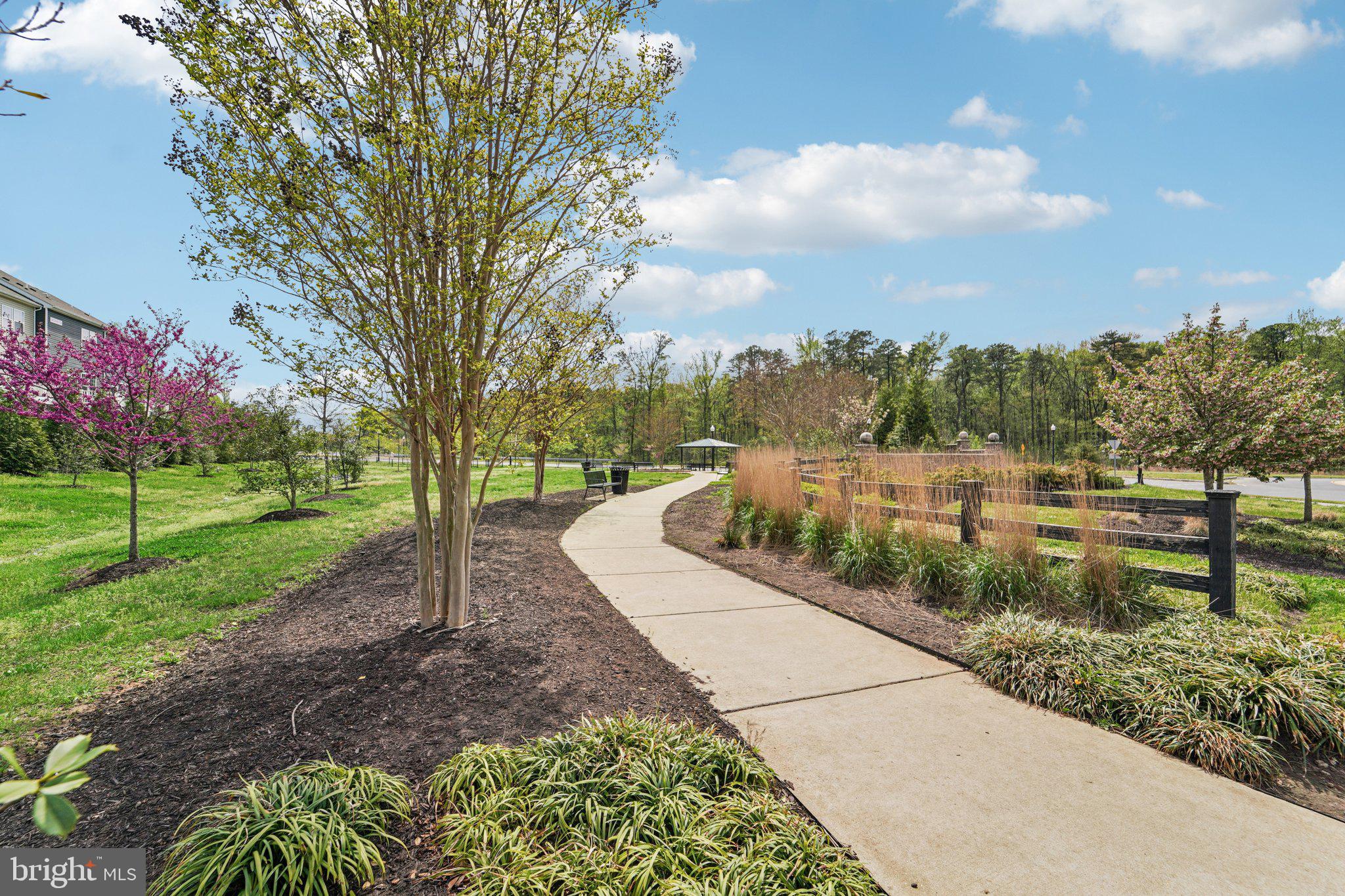 TOWN CENTER COMMONS - Residential