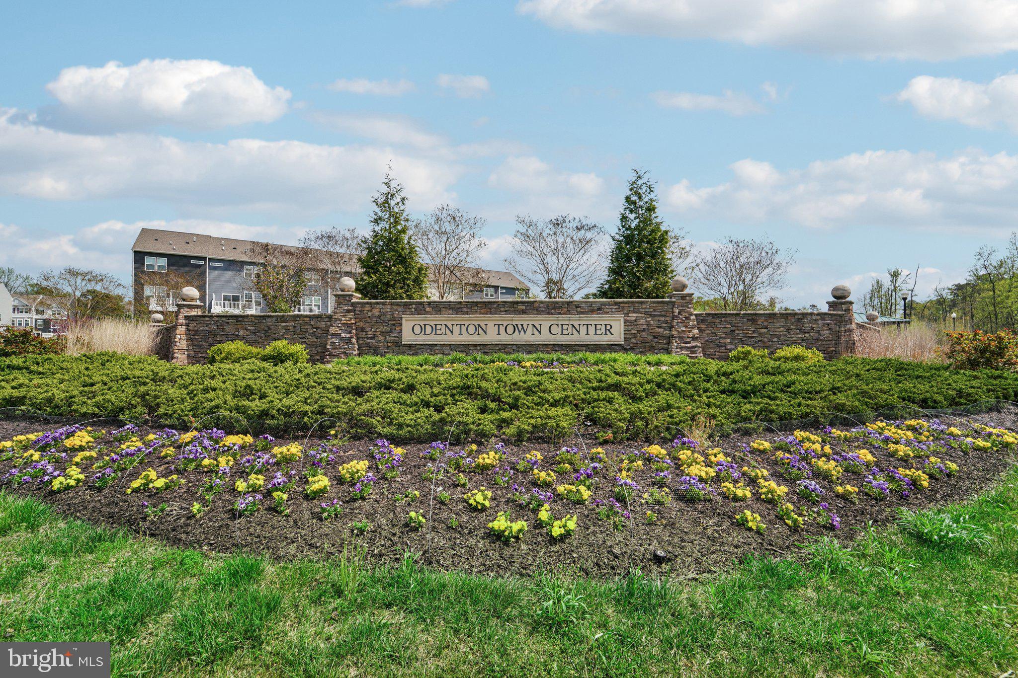 TOWN CENTER COMMONS - Residential