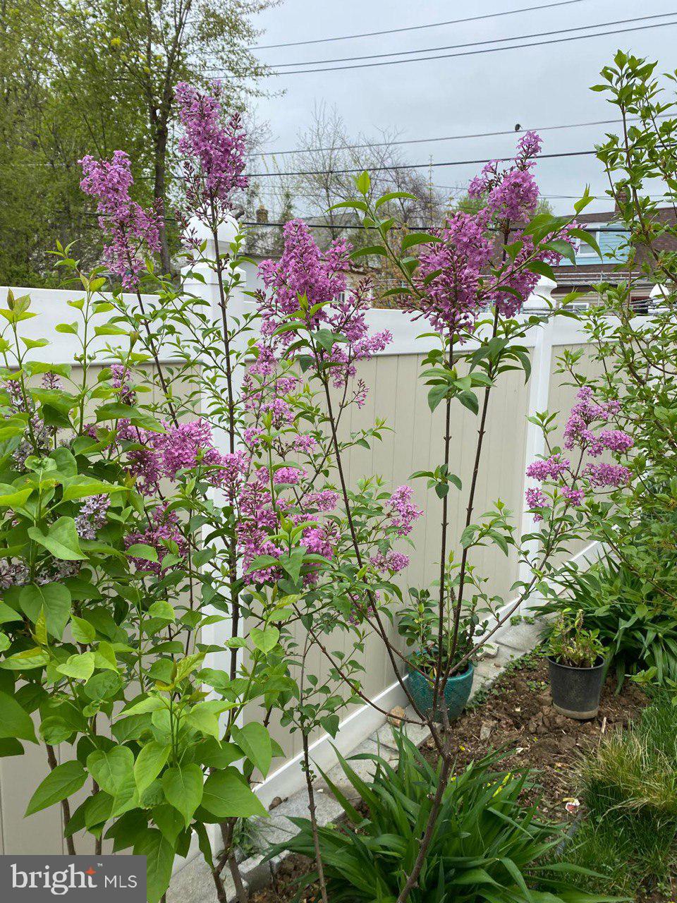 SOMERTON - Residential