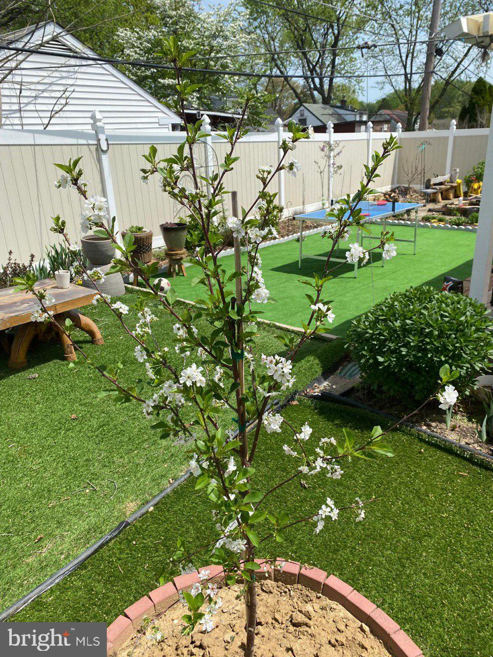 SOMERTON - Residential