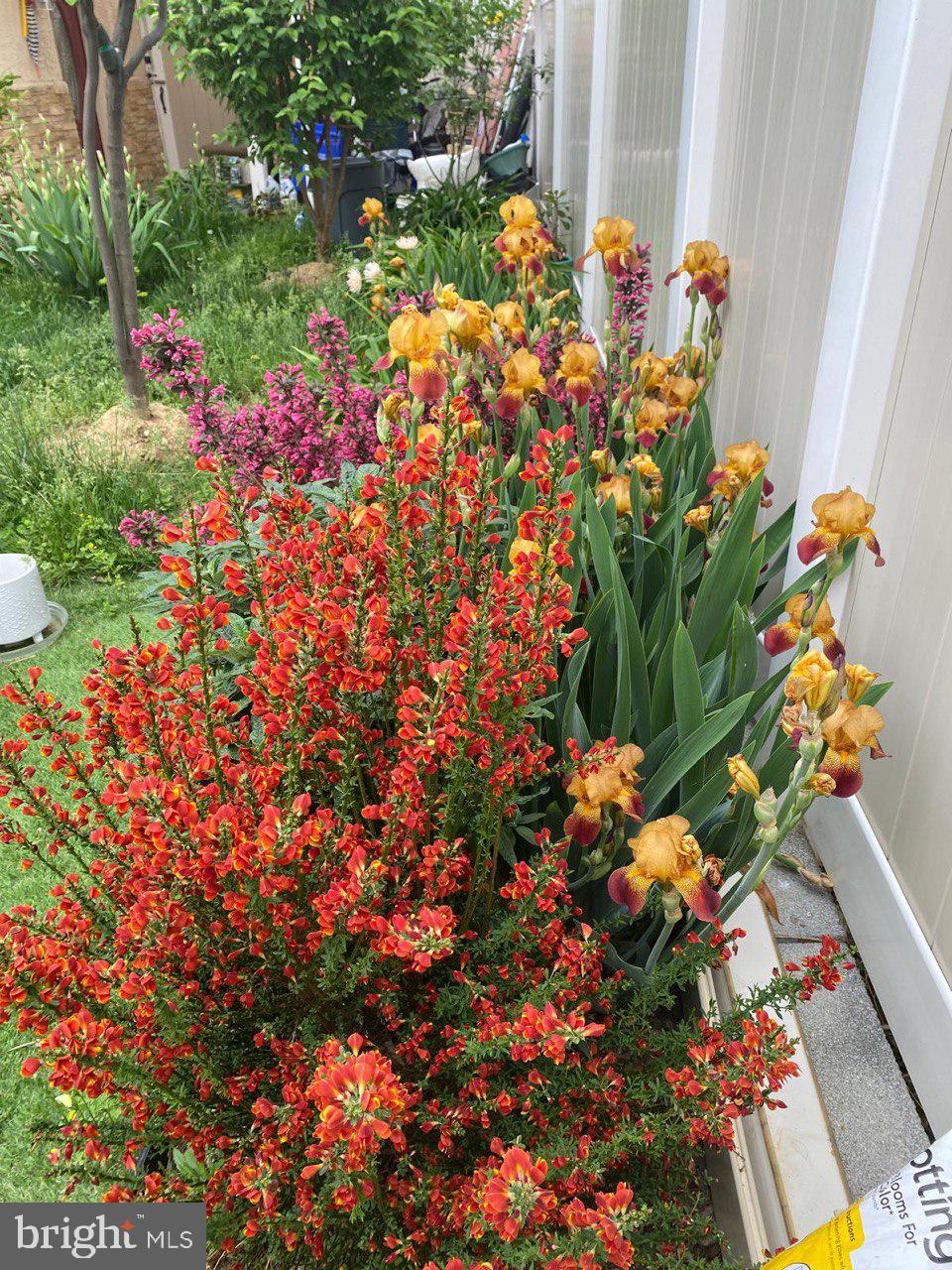 SOMERTON - Residential