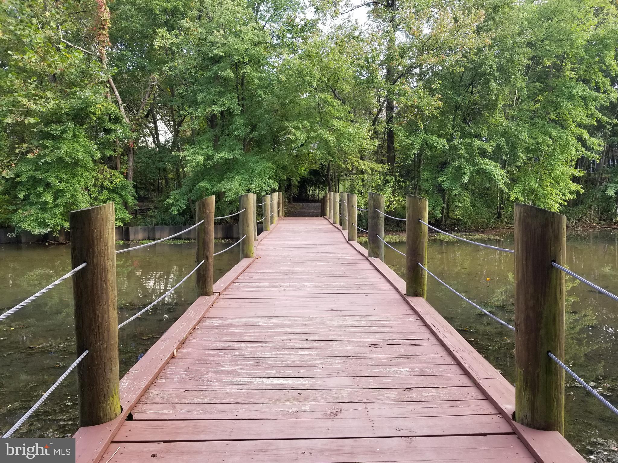 LARGO TOWN CENTER - Residential