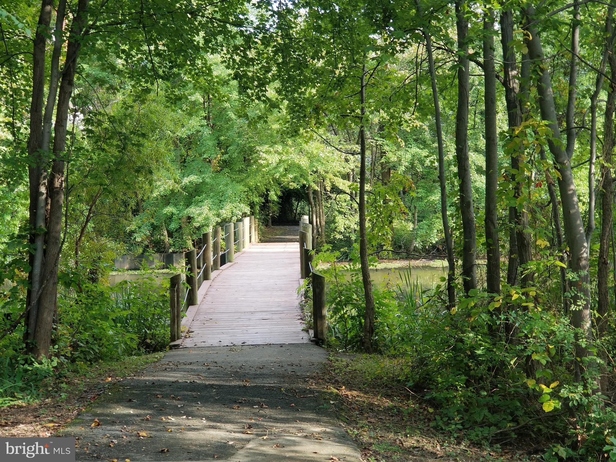 LARGO TOWN CENTER - Residential