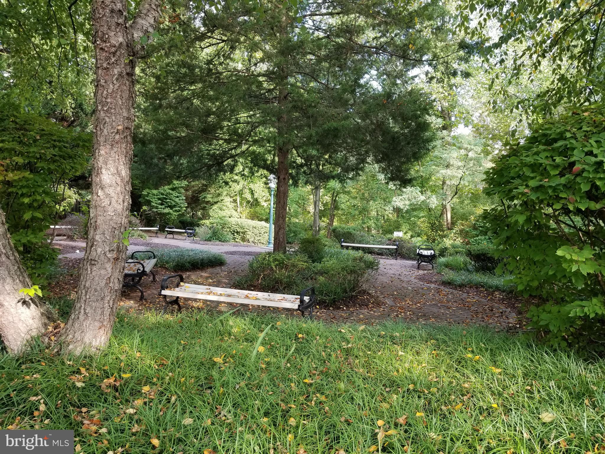 LARGO TOWN CENTER - Residential