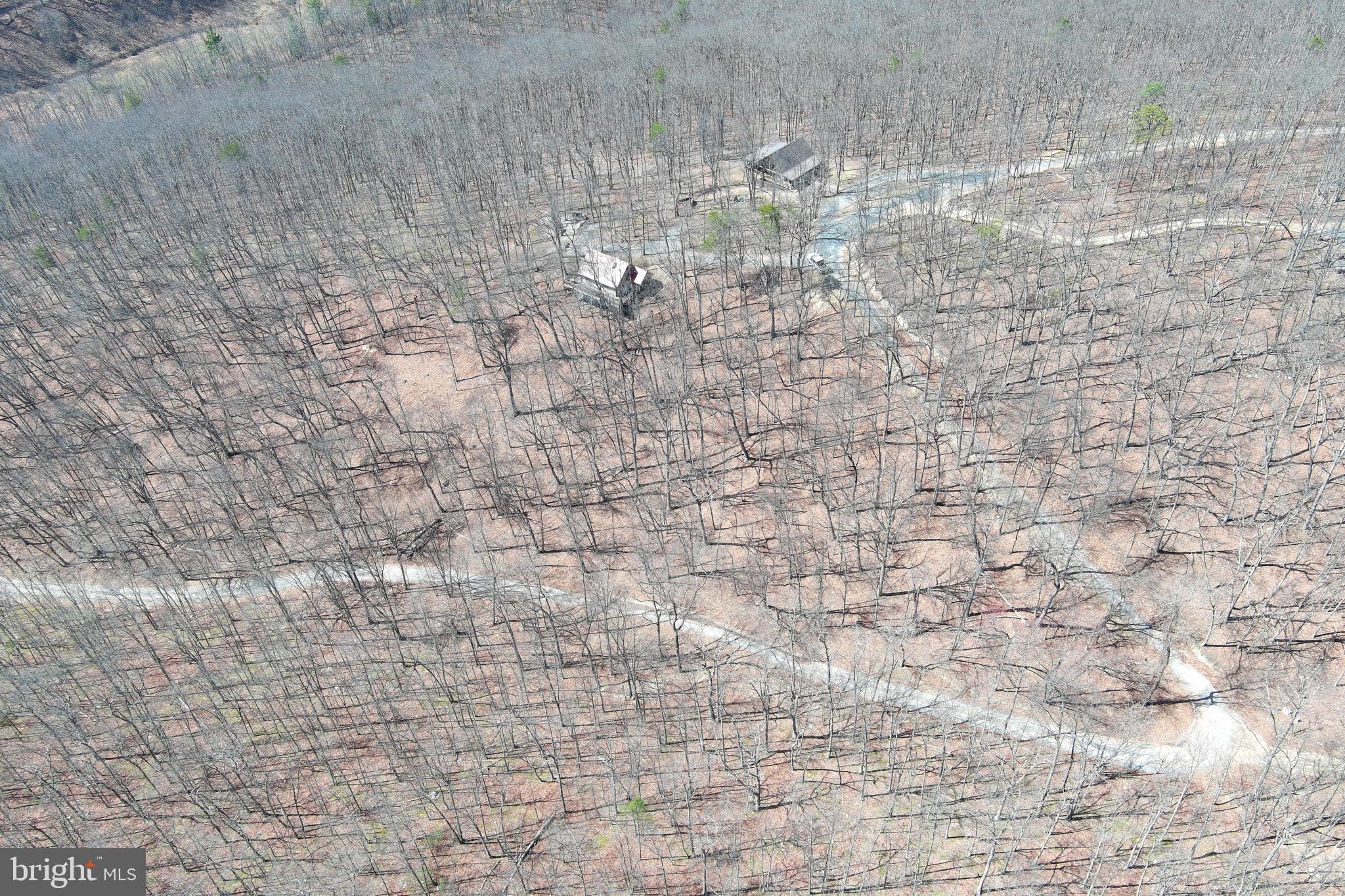 D.W.F. - Residential