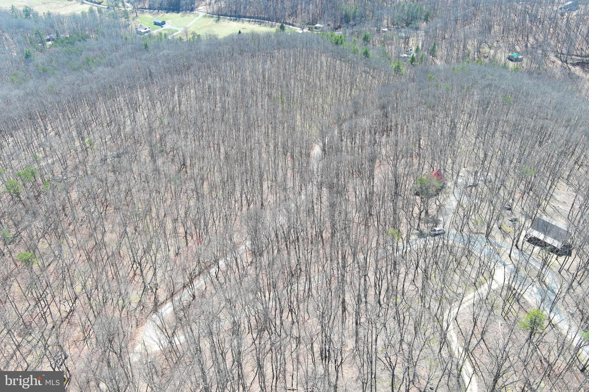 D.W.F. - Residential