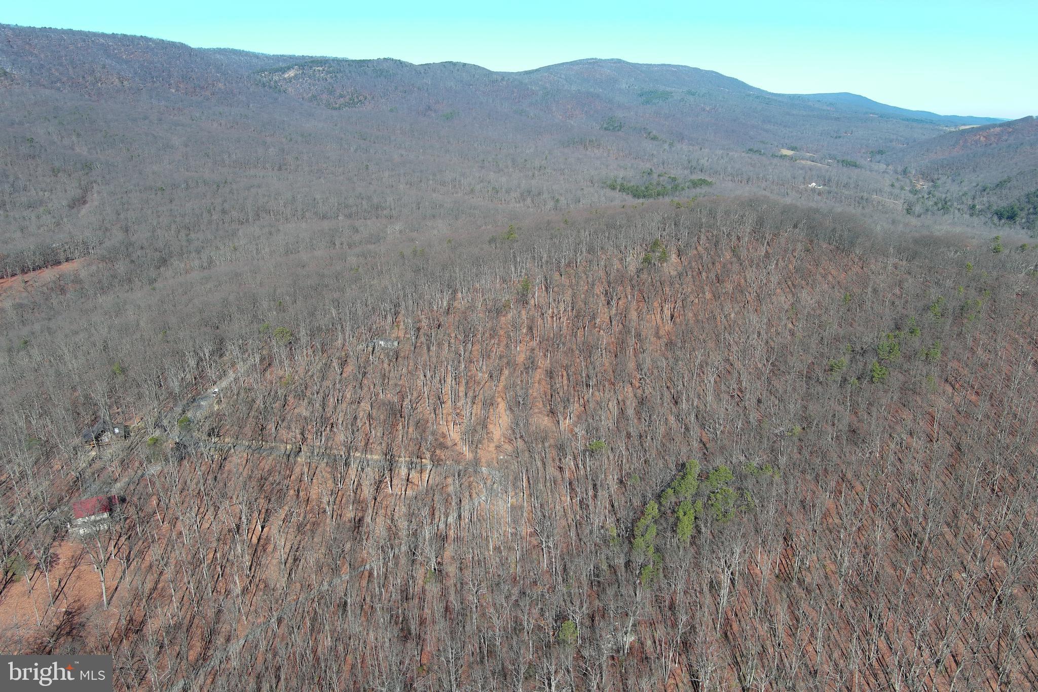 D.W.F. - Residential