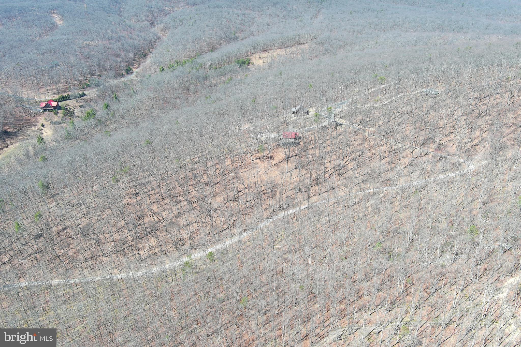 D.W.F. - Residential