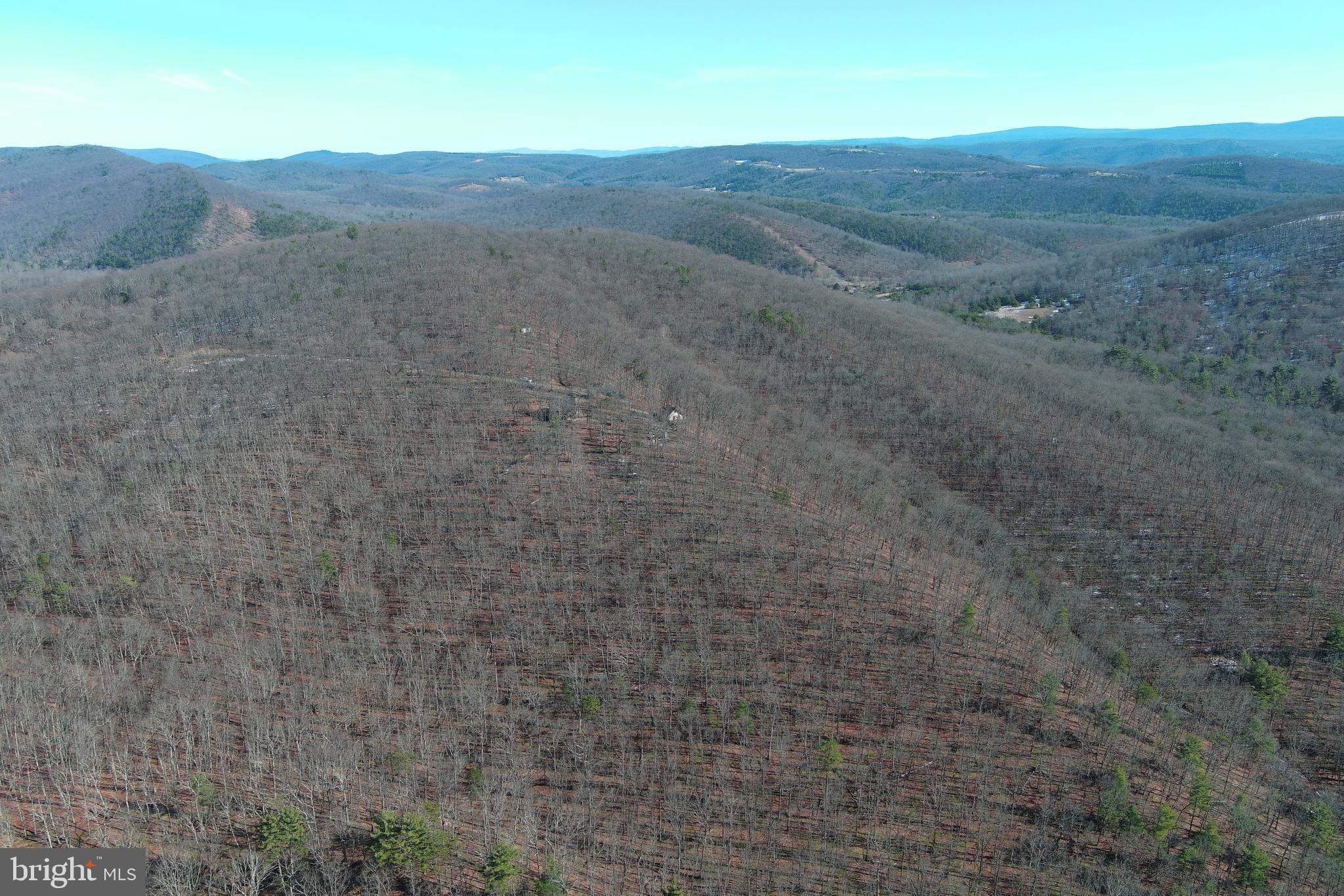 D.W.F. - Residential