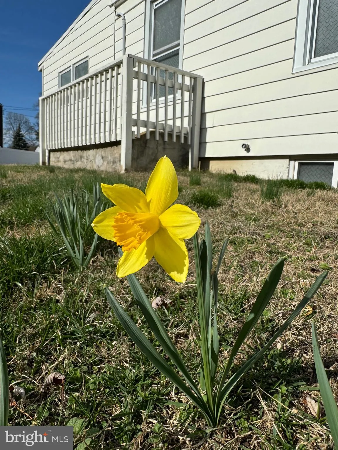 Wilmington, Delaware 19809, United States, 2 Bedrooms Bedrooms, ,2 BathroomsBathrooms,Residential,Coming Soon,97984