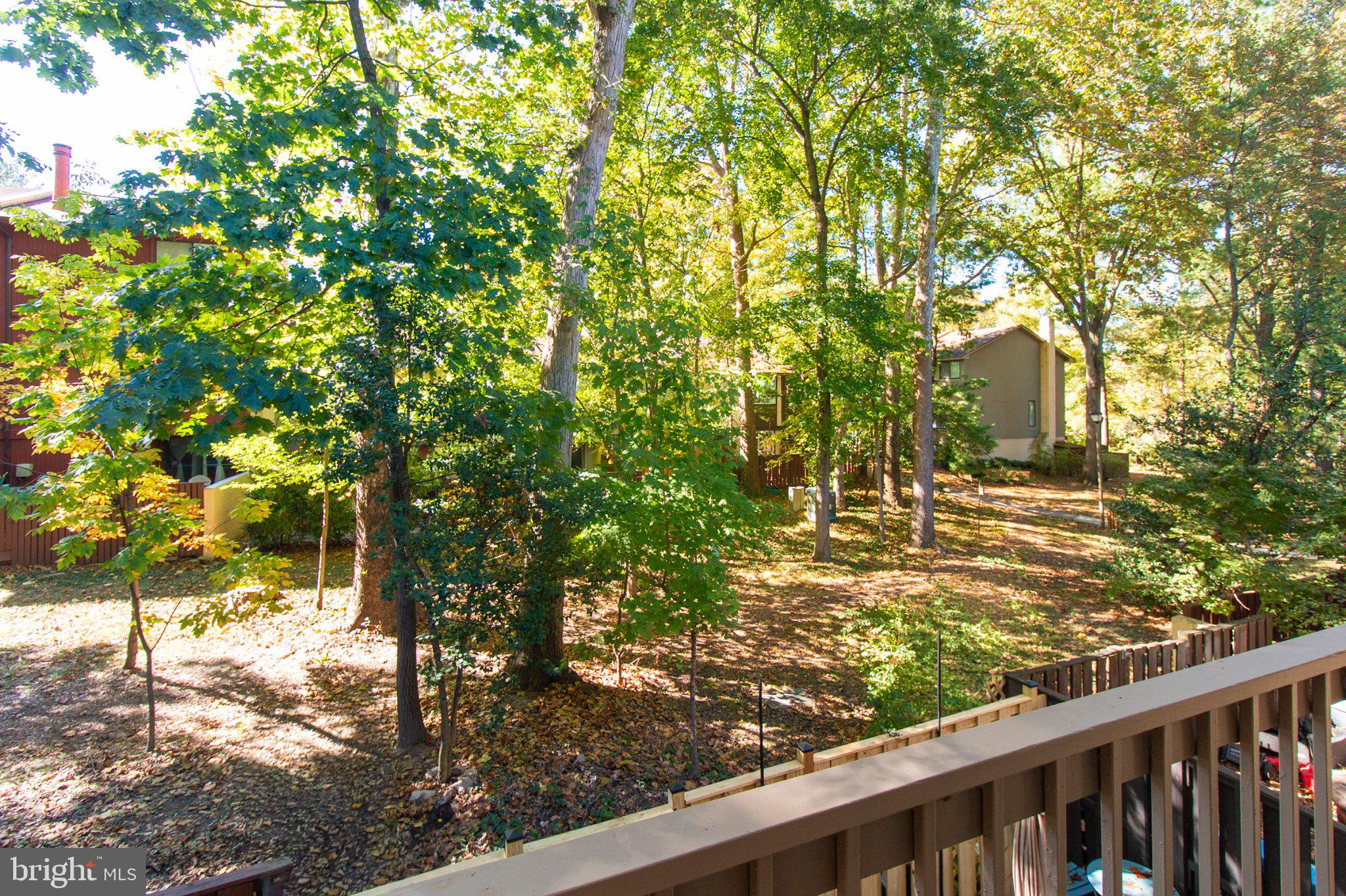 2218 WHITE CORNUS LANE