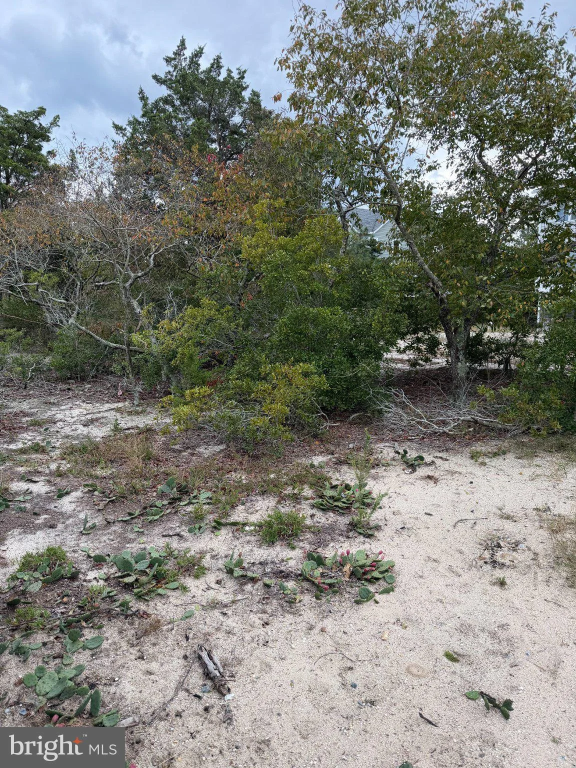 Lot 9 Pintail Avenue, Milton, DE 19968