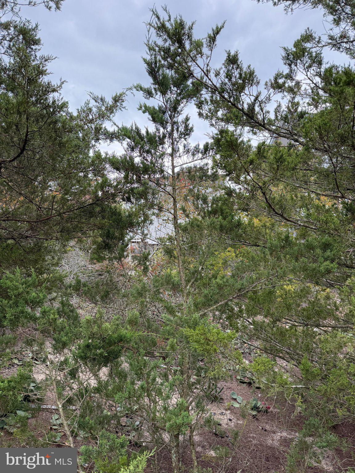 Lot 9 PINTAIL AVENUE