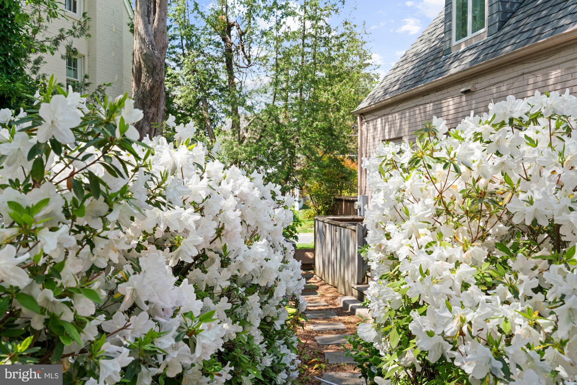 WESTGATE - Residential