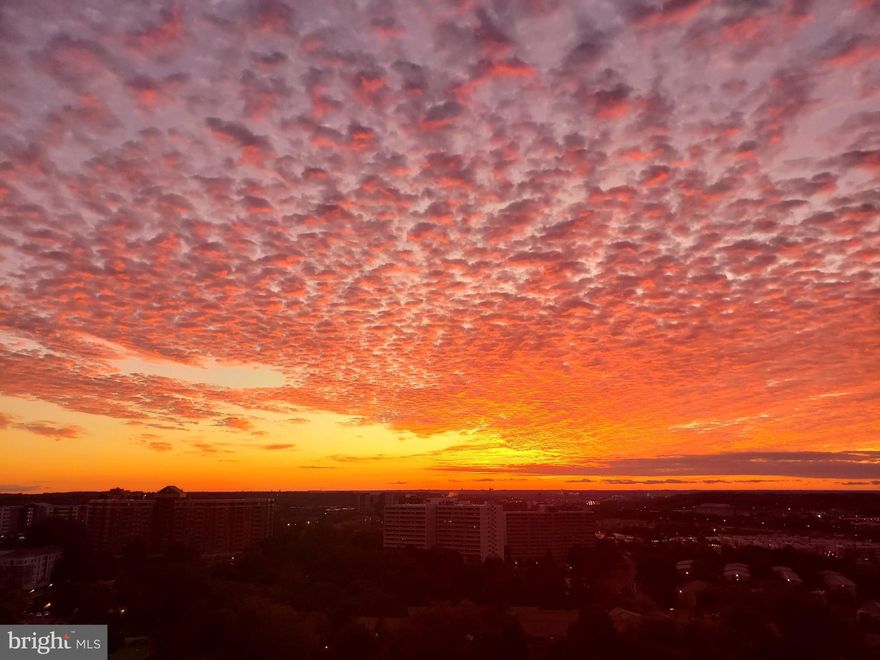 All Utilities and Watergate's Famous Amenities are included in the monthly condo fee. Watergate at Landmark is located inside the "Beltway" and is on 36 Beautifully Landscaped & Gated Acres. Here are some of what makes Watergate a one-of-a kind, Wonderfully, Comfortable Lifestyle: Indoor Pool with Lap lanes, Social Area and Jacuzzi, TEN Pickleball Courts, Free Shuttle to Van Dorn Metro (Blue Line), Convenience Store, Restaurant, Fitness Center, Saunas, Billiards, Ping Pong, Indoor Golf Driving Room, Library, Community Center, Activities for All Ages, Sprawling Outdoor Pool with Lap-lanes, Diving Area and Social Area, Gazebos, Over a Mile of Jog/Walking Path, Tot Lot, 4 Outdoor lighted Tennis Courts, 2 Indoor Tennis Courts, Racquetball, Picnic Areas & Grills, Award Winning Landscaping, Car Washing Area, Basketball Court and Much More! Located just over a Mile from Metro and Minutes to Pentagon, Old Towne and DC.