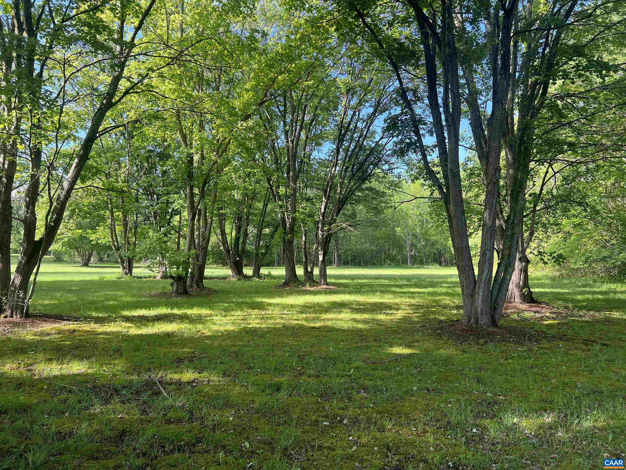 NONE AVAILABLE - Land