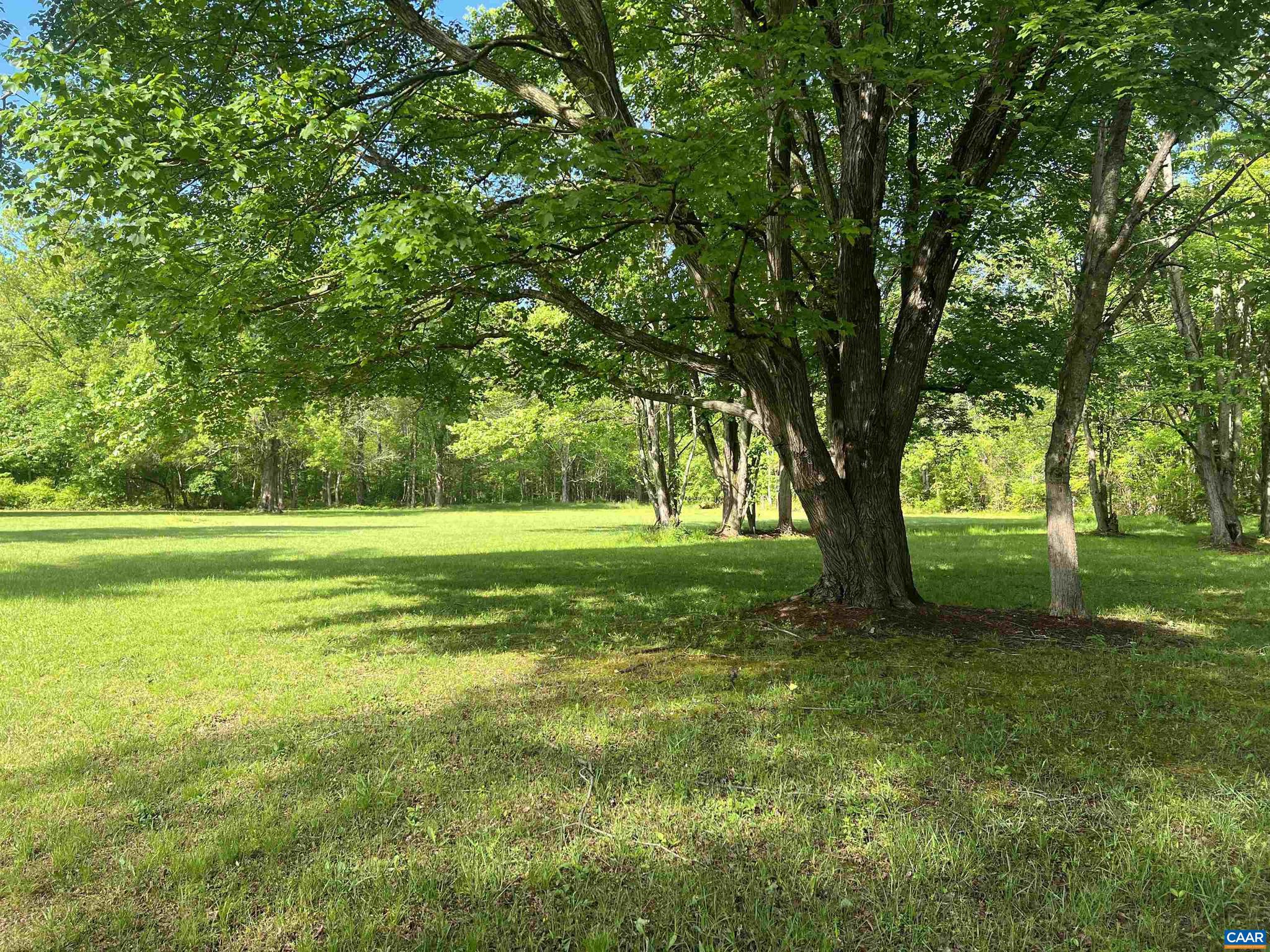 NONE AVAILABLE - Land