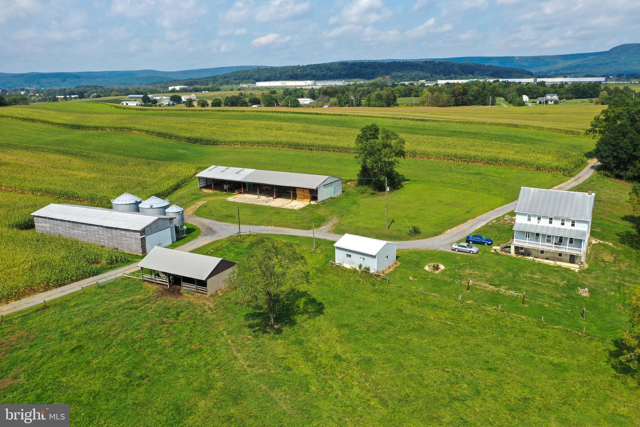 NONE AVAILABLE - Farm