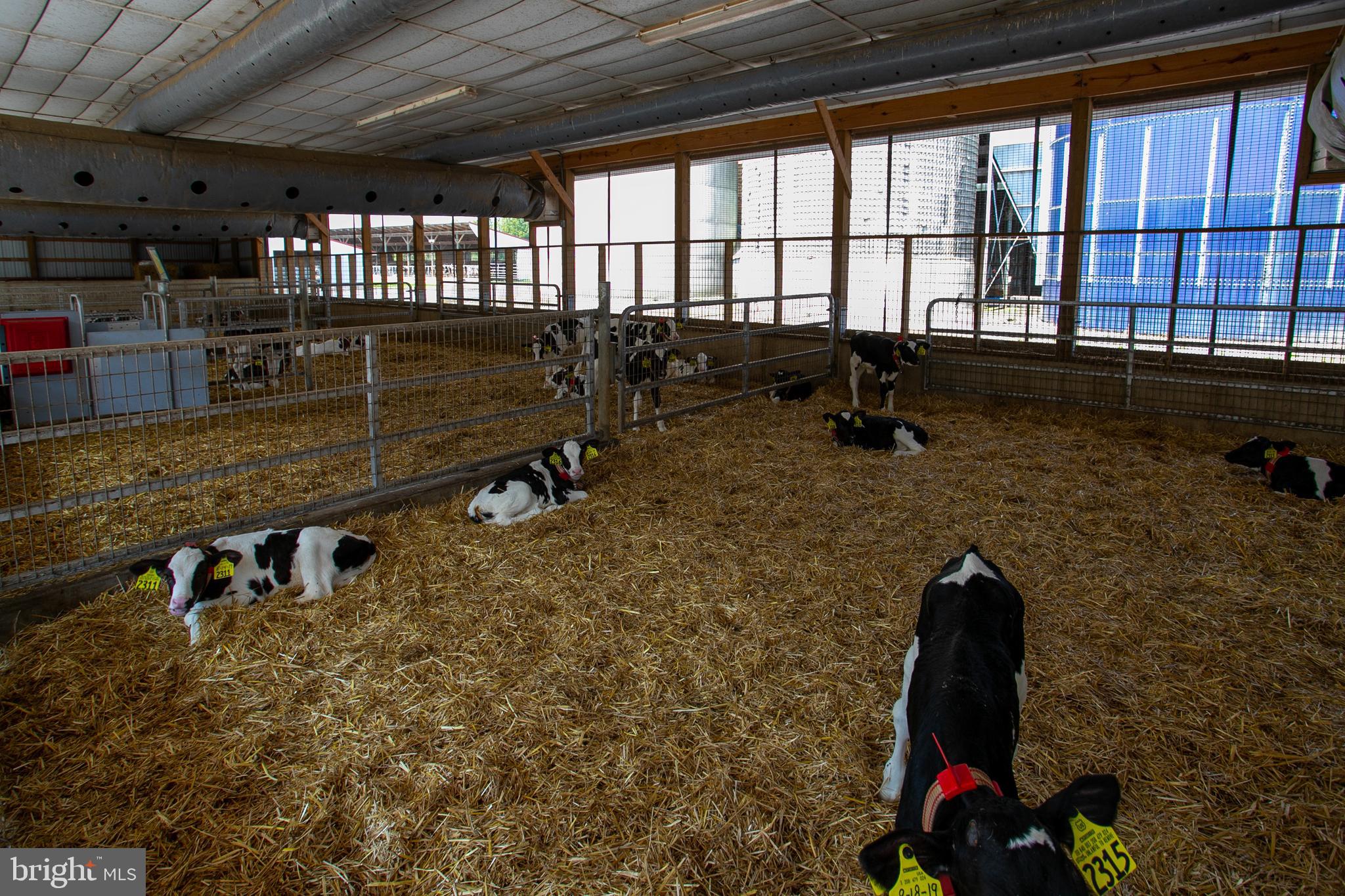 NONE AVAILABLE - Farm
