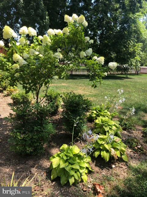 CEDAR CREST - Residential