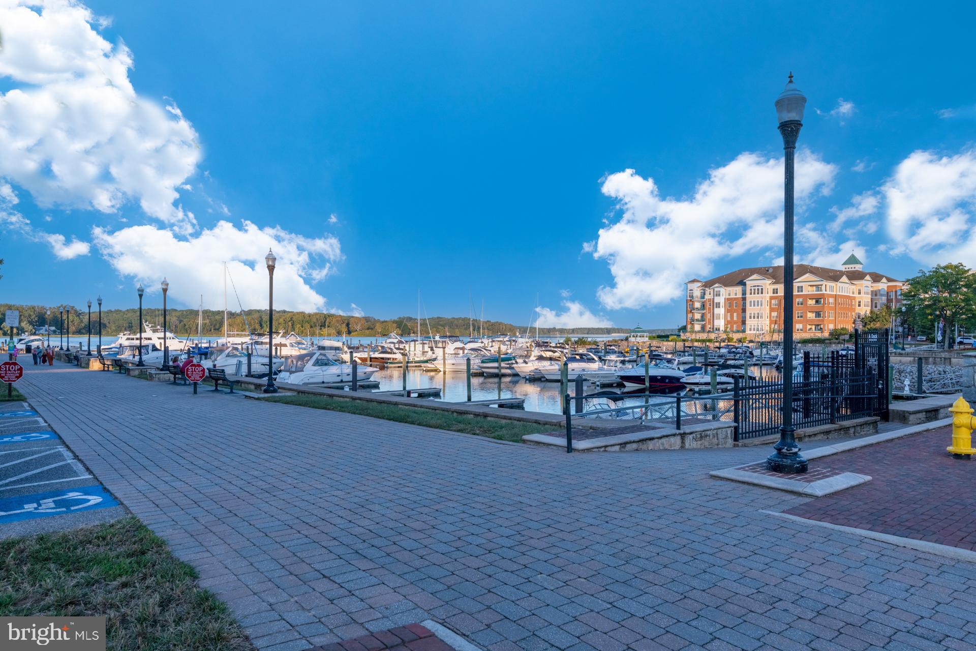 BELMONT TOWN CENTER - Residential