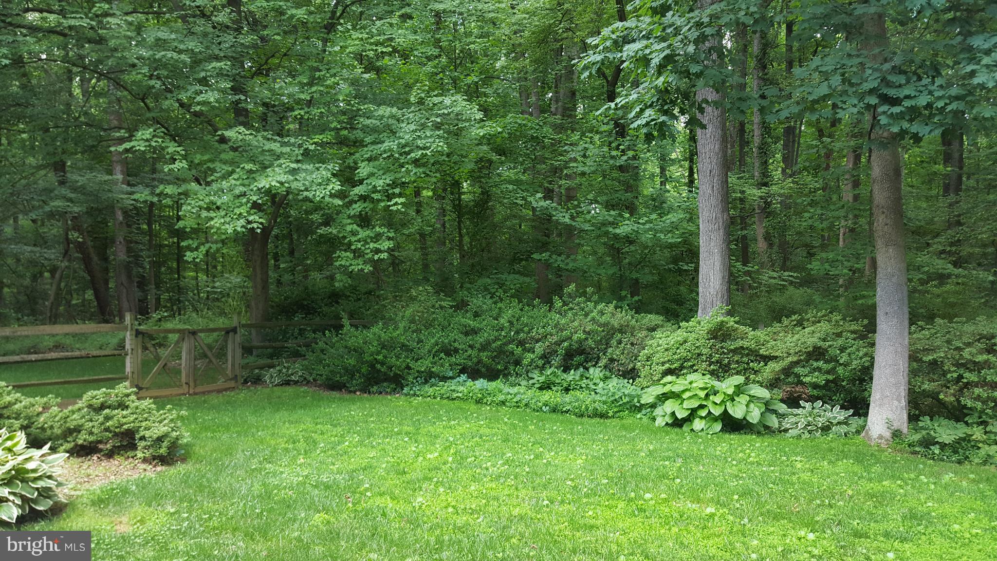 NORTH SPRINGFIELD - Residential