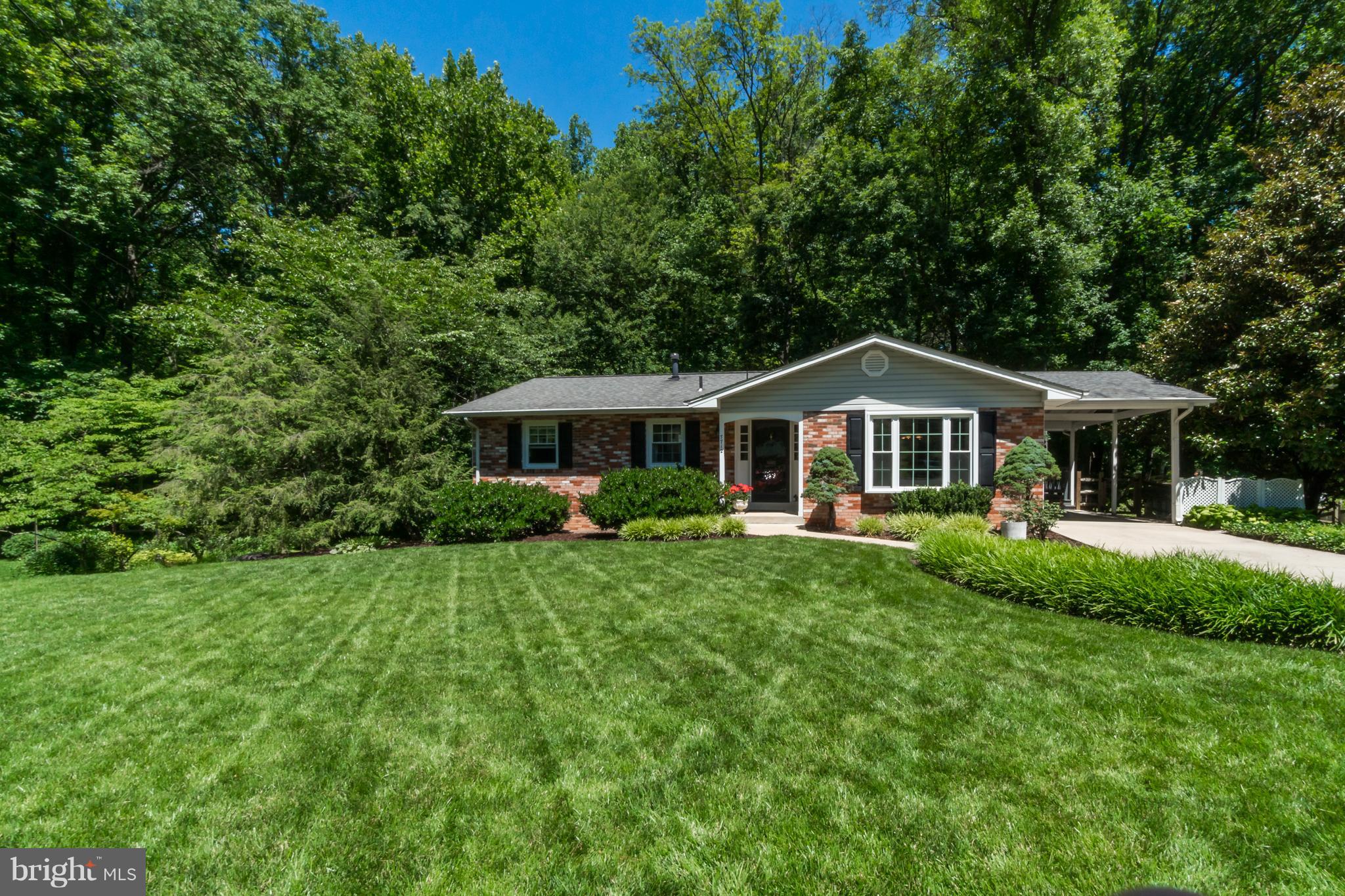 NORTH SPRINGFIELD - Residential