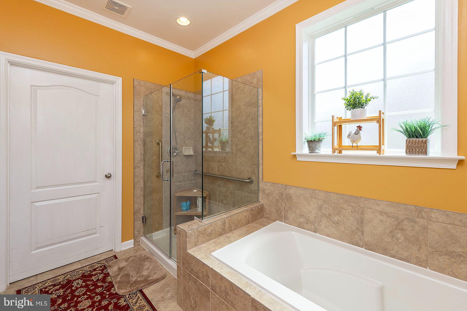 CEDAR MEADOWS - Residential Lease