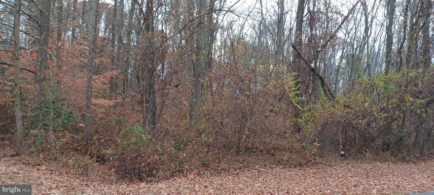This  wooded 2 acre lot is an unincorporated rural area  know as Pondtown. Mailing address is Millington. Tax records show "private well and septic", Buyer to verify. Property being sold AS-IS. It  is zoned as Residential NC-1 T . Seller is wanting to sell this property along with the Adjoining home property  known as 204 Spring Rd, Millington that is listed (MLS MDQA2011540) that has 6=/- acres. Together these could have the  potential to make dreams come true!!