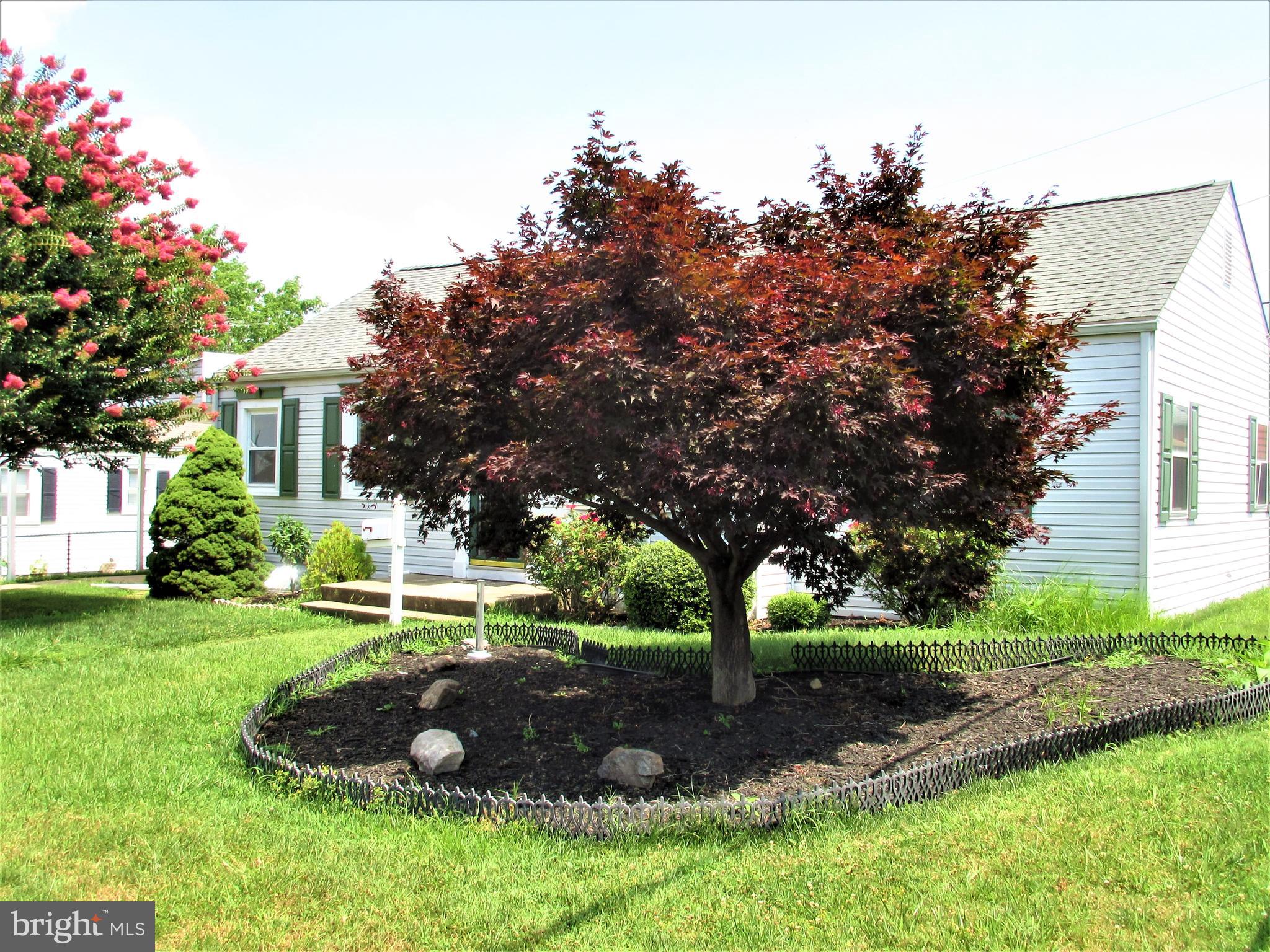 NORWOOD PARK - Residential