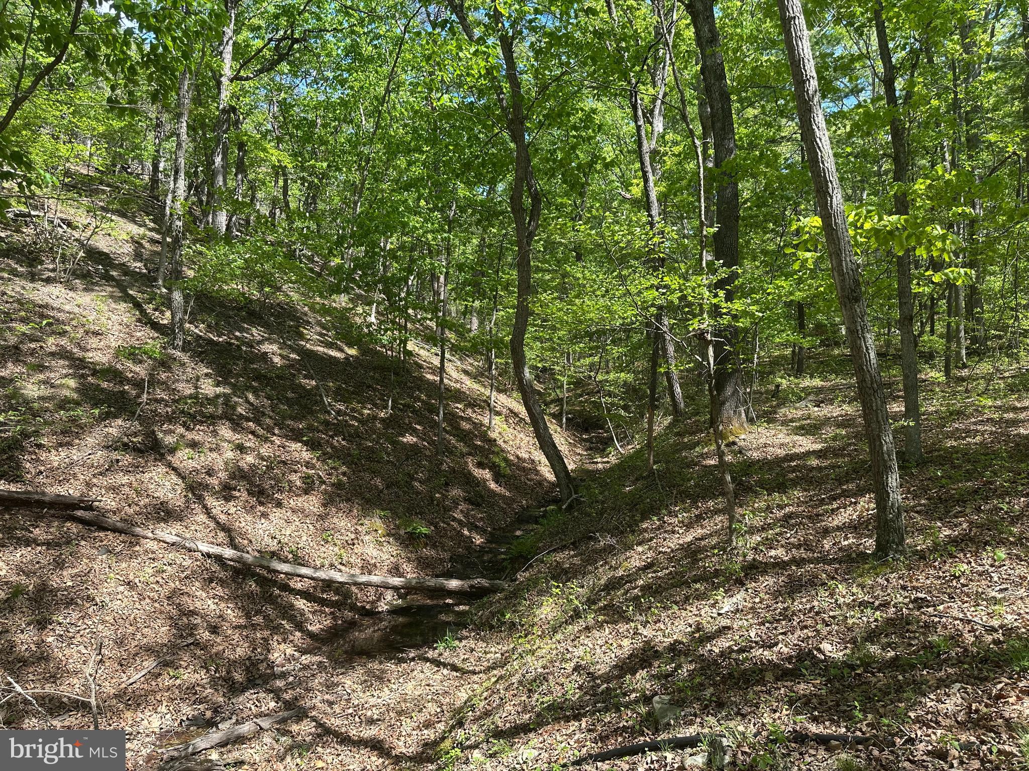 SOUTH POTOMAC FARMS # II - Land