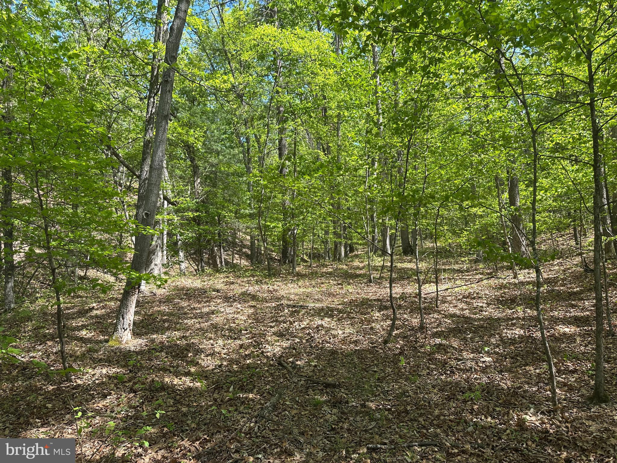 SOUTH POTOMAC FARMS # II - Land