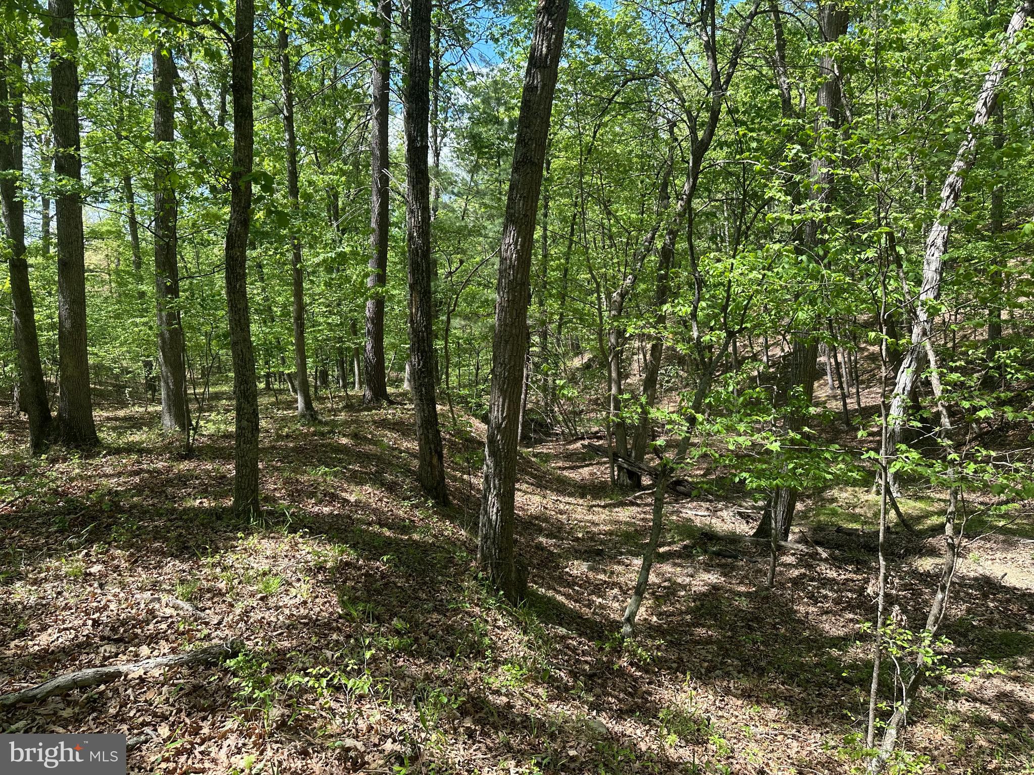 SOUTH POTOMAC FARMS # II - Land