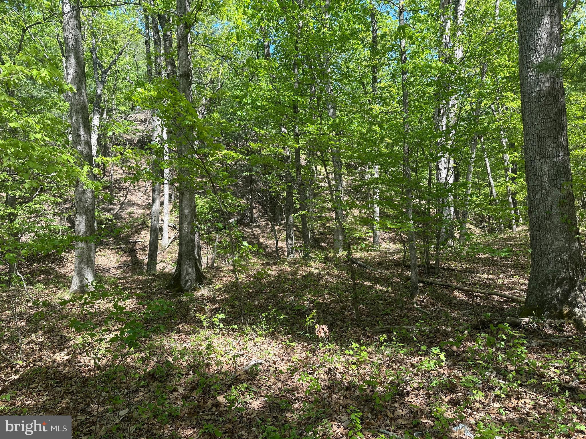 SOUTH POTOMAC FARMS # II - Land