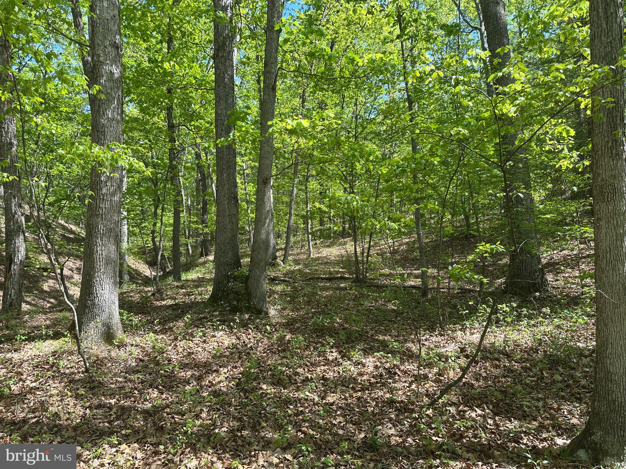 SOUTH POTOMAC FARMS # II - Land